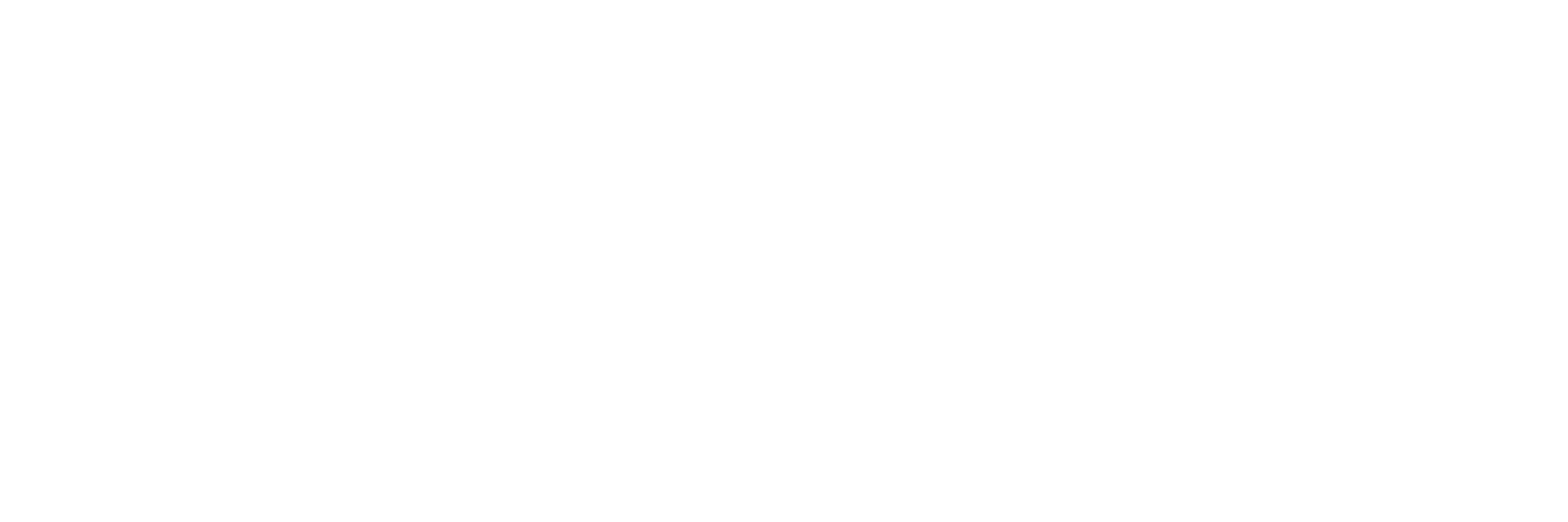 Homeland Logo